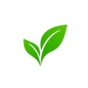 leaf icon